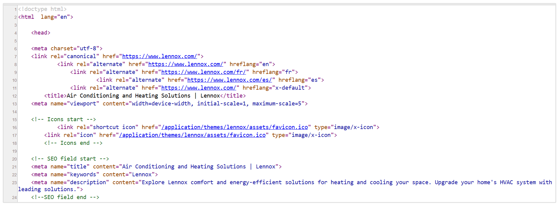Raw HTML view
